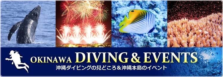 沖縄ダイビングの見どころ＆沖縄本島のイベント