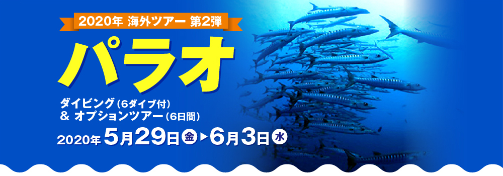 2020年 海外ツアー 第2弾_パラオダイビング（6ダイブ付）＆ オプションツアー_6日間の旅[2020年5月29日（金）～6月3日（水）6日間]